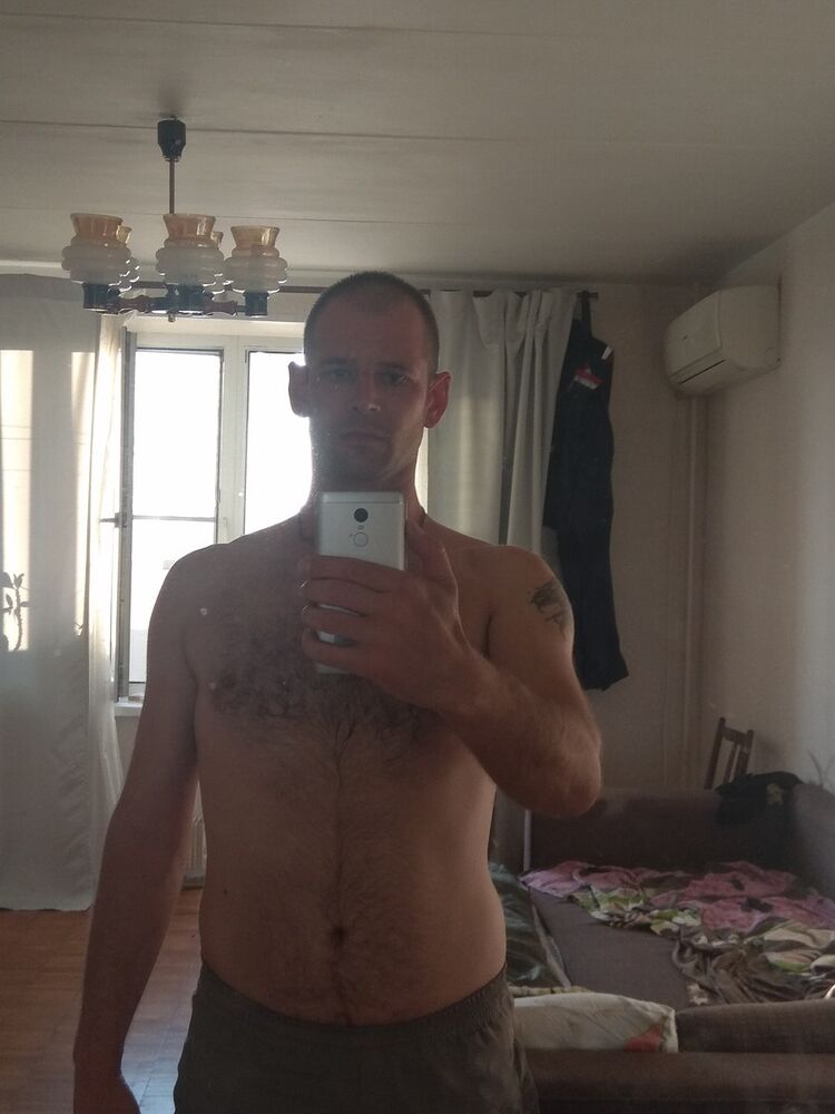  12584648  , 37 ,    