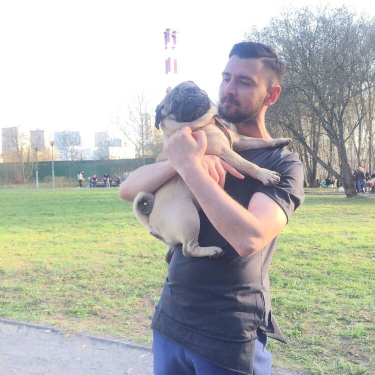 ���� 9875928 ������� ����������, 36 ���, ���� ���������� � ������