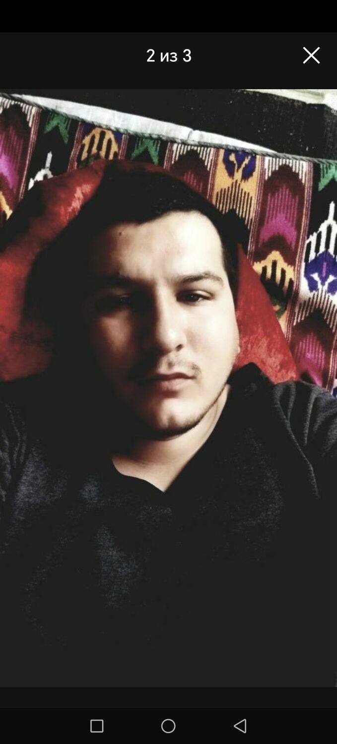 ���� 41650558 ������� WOLF, 31 ���, ���� ���������� � ��������