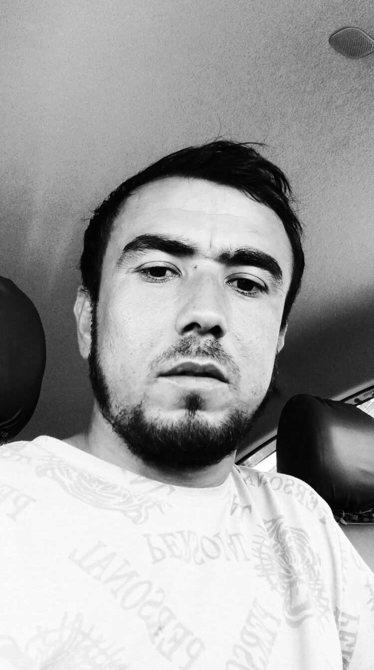  28392268  , 31 ,    -