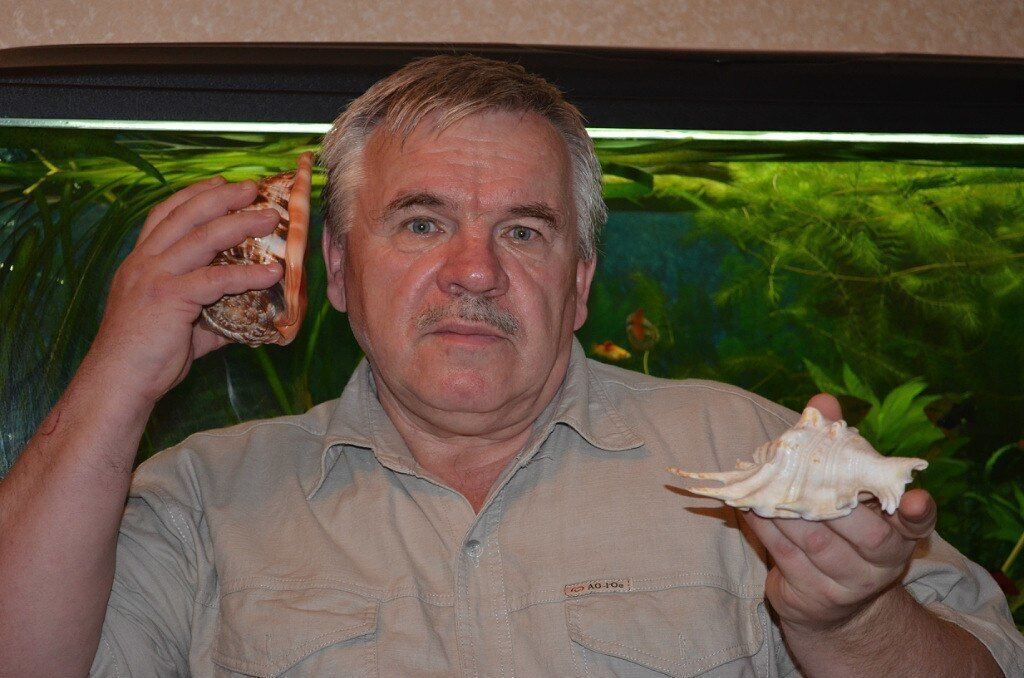 ���������� �����������, ���� ������� ��������, 71 ���, ������������ ��� ������, ����� � ���������