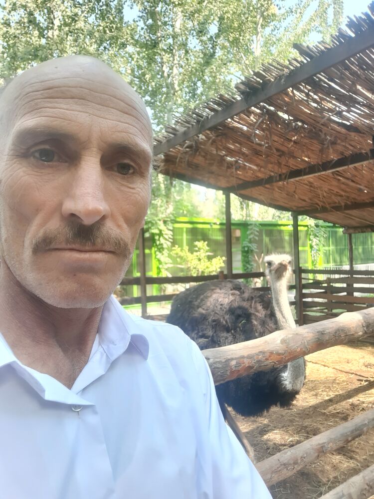 ���� 42872978 ������� Guven, 53 ����, ���� ���������� � �������