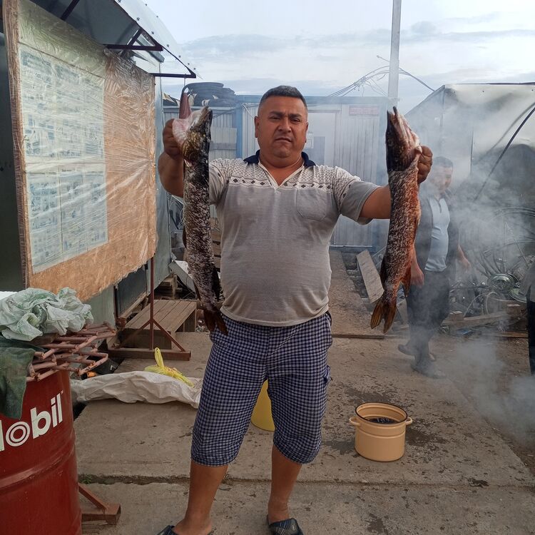 ���������� ������, ���� ������� ������, 46 ���, ������������ ��� ������, ����� � ���������