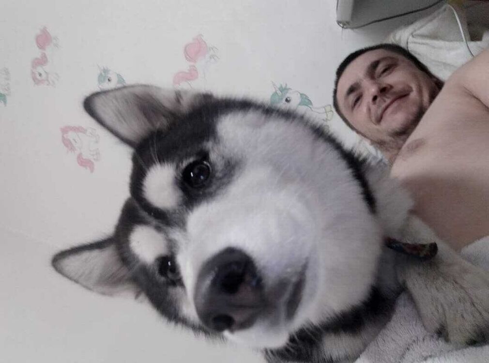 ���� 20419308 ������� ������, 38 ���, ���� ���������� � �����