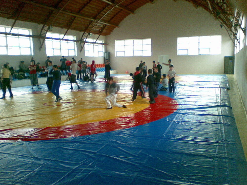 ���������� ����������, ���� ������� ����, 43 ����, ������������ ��� ������