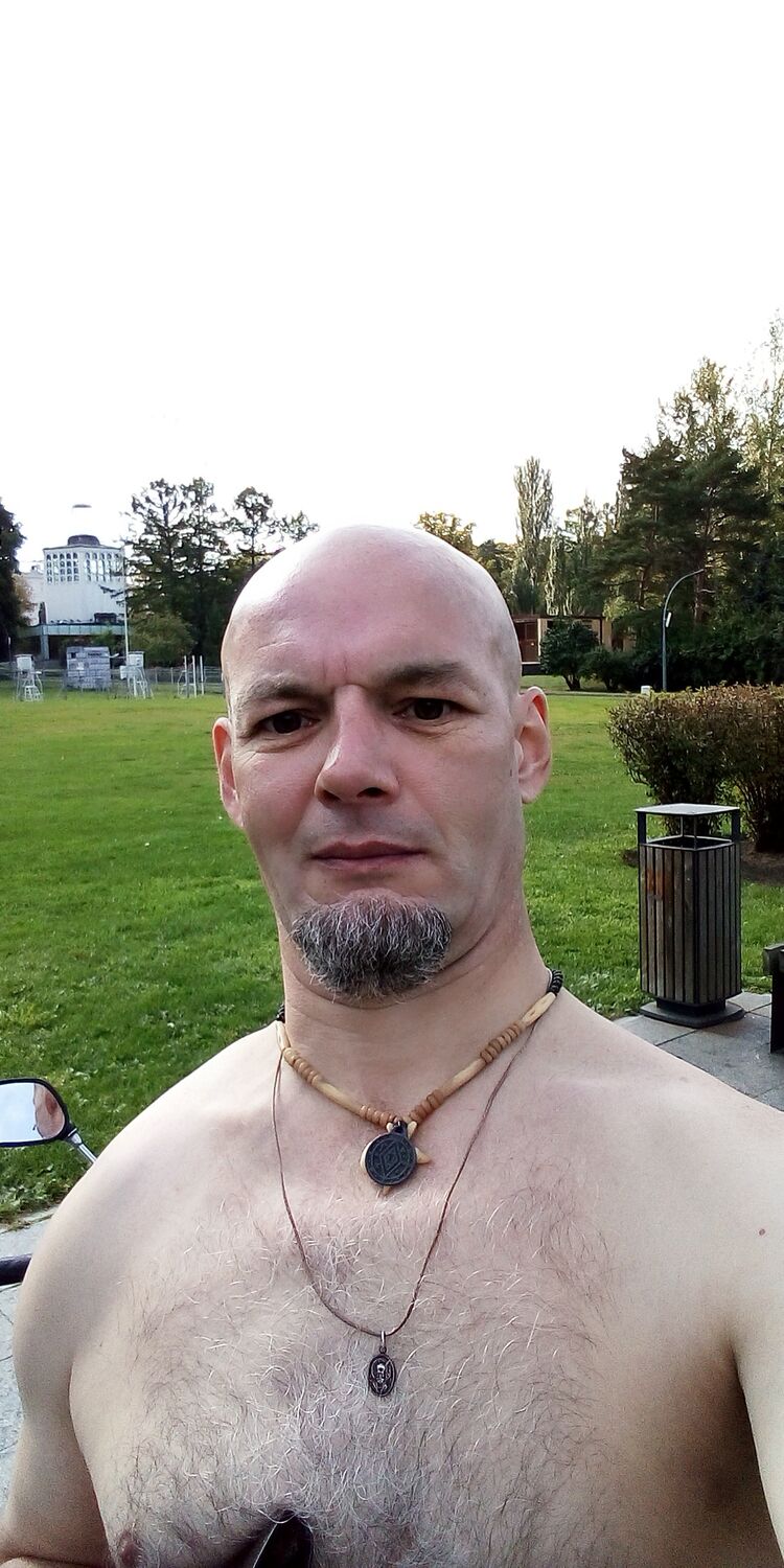  37944278  , 100 ,    