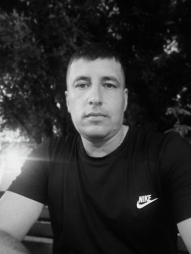  29396078  , 38 ,    Novy