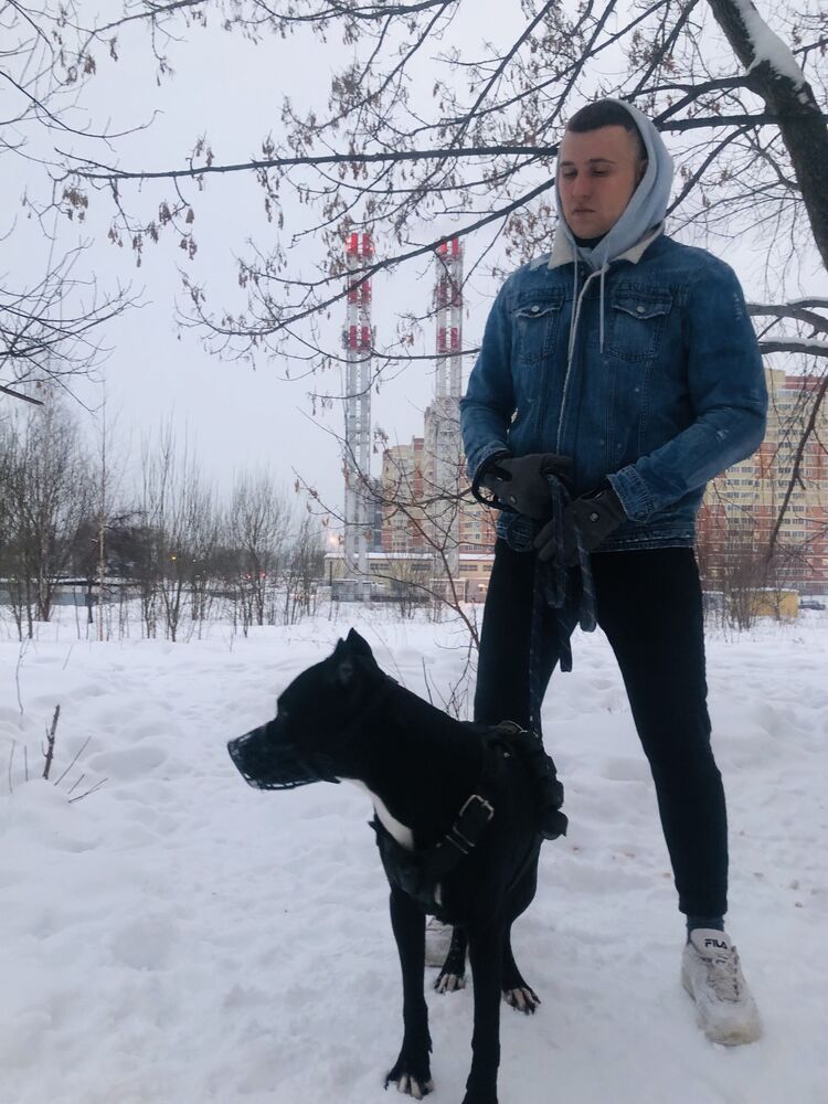 ���� 27217178 ������� ����������, 30 ���, ���� ���������� � �������