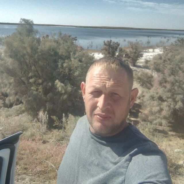  49064988  , 41 ,    