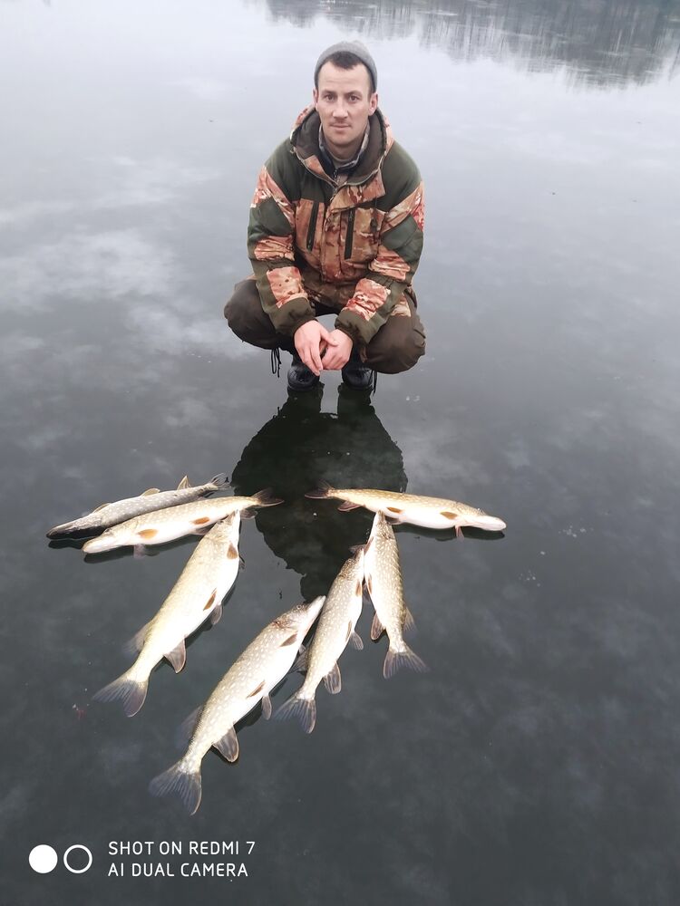 ���� 23931788 ������� ������, 36 ���, ���� ���������� � ��������