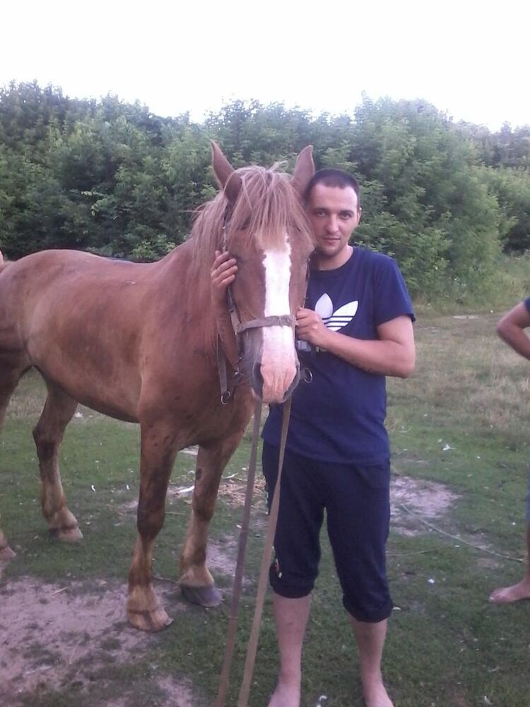  7968878  Dester, 42 ,    