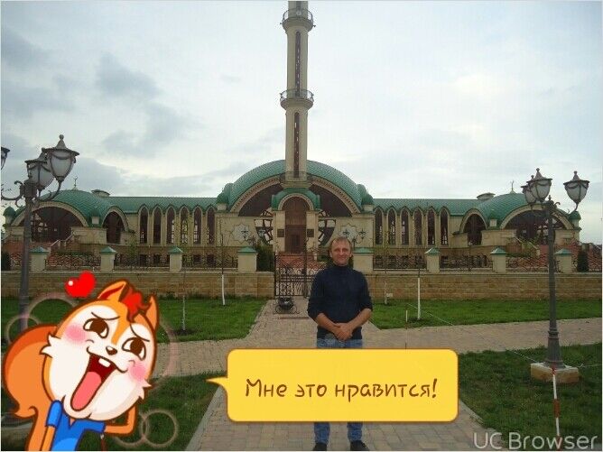  11792518  , 48 ,    