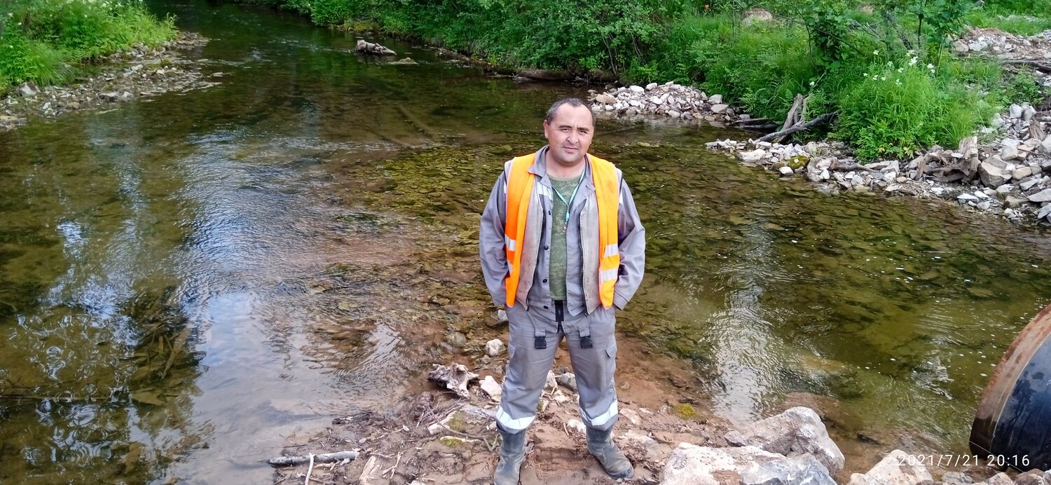 ���� 24185278 ������� ������, 38 ���, ���� ���������� � �����