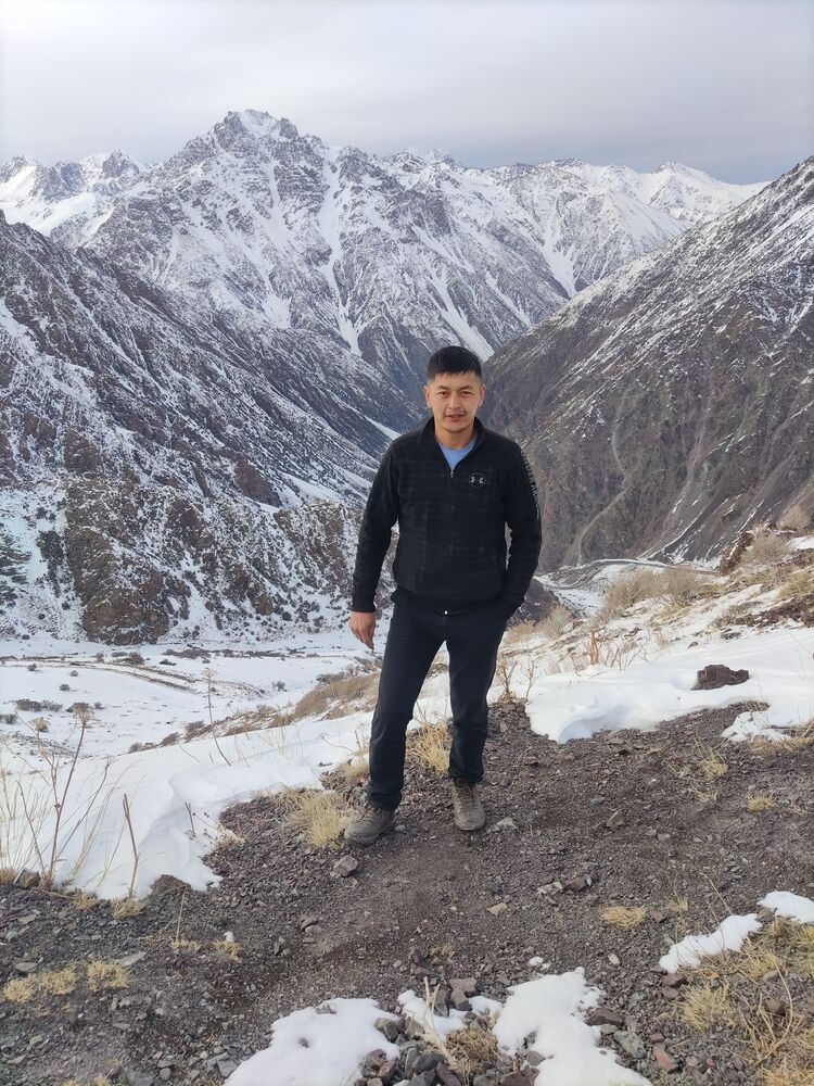 ���� 25380038 ������� ��������, 38 ���, ���� ���������� � �������