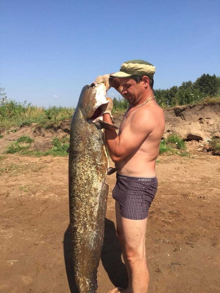 ���������� ���������� �����, ���� ������� ������, 46 ���, ������������ ��� ����� � ���������, c�������� ���������, ���������