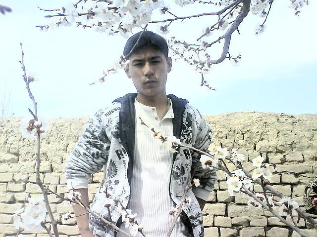  33284628  Elyorbek, 36 ,    