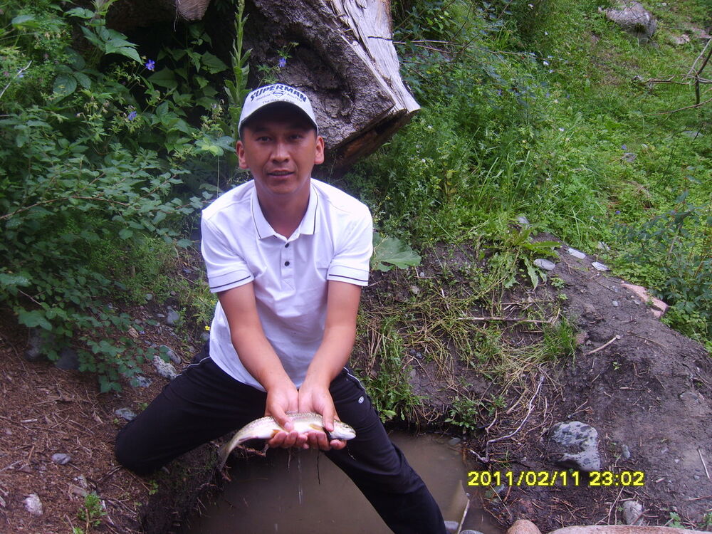  ,   , 41 ,   