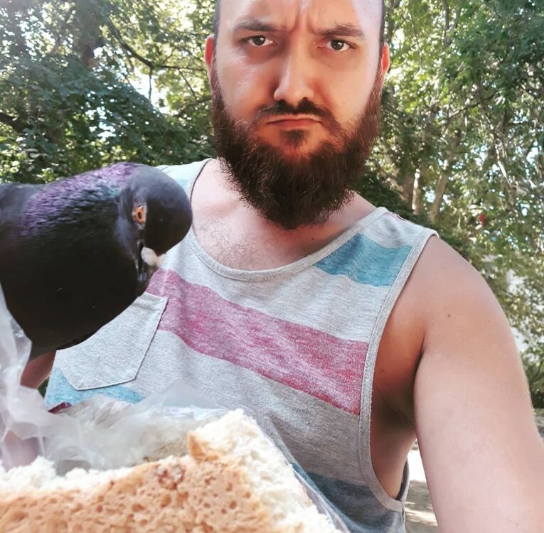 ���������� ���������, ���� ������� �������, 36 ���, ������������ ��� ������, ����� � ���������, c�������� ���������, ���������