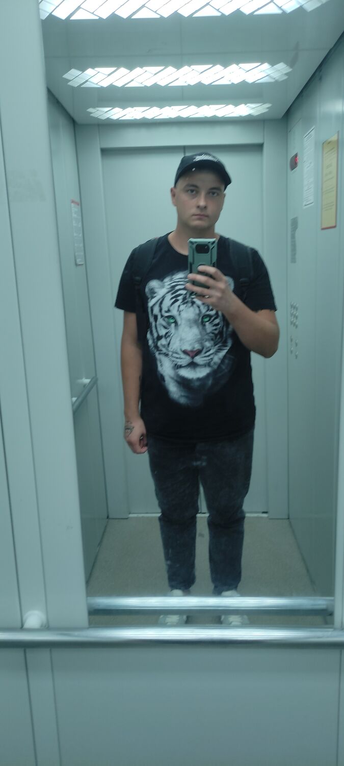 36553928  , 22 ,    