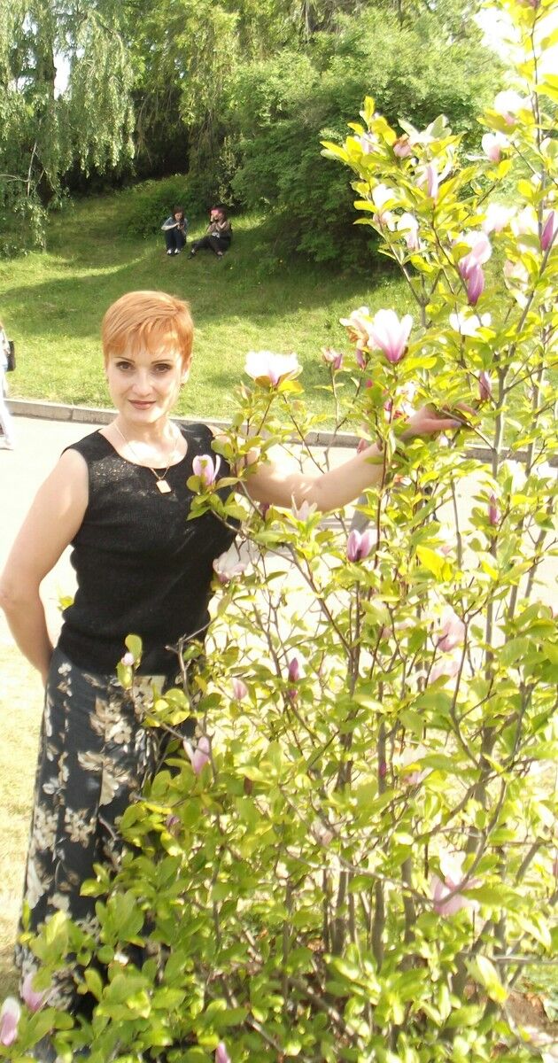  ,   Sokol, 50 ,   