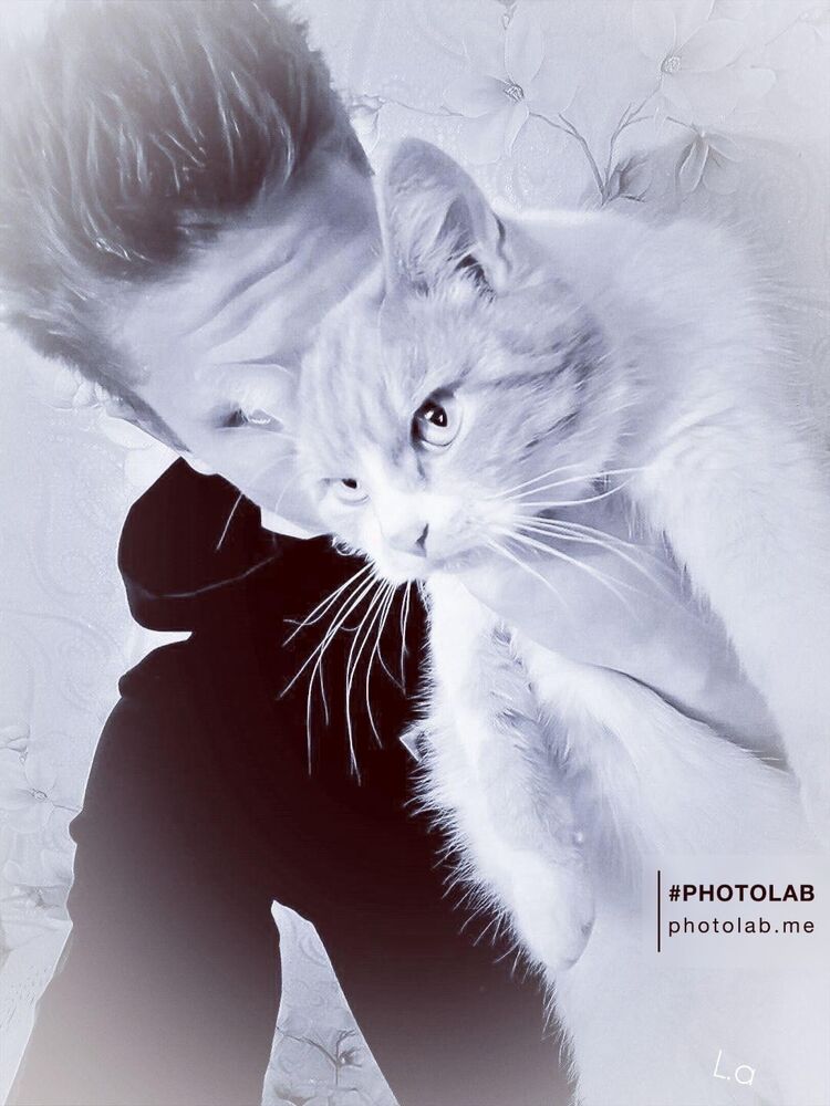 ���������� �������, ���� ������� �������, 27 ���, ������������ ��� ������, ����� � ���������