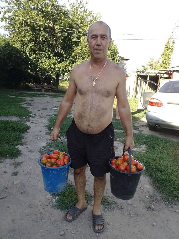  36548268  , 63 ,     
