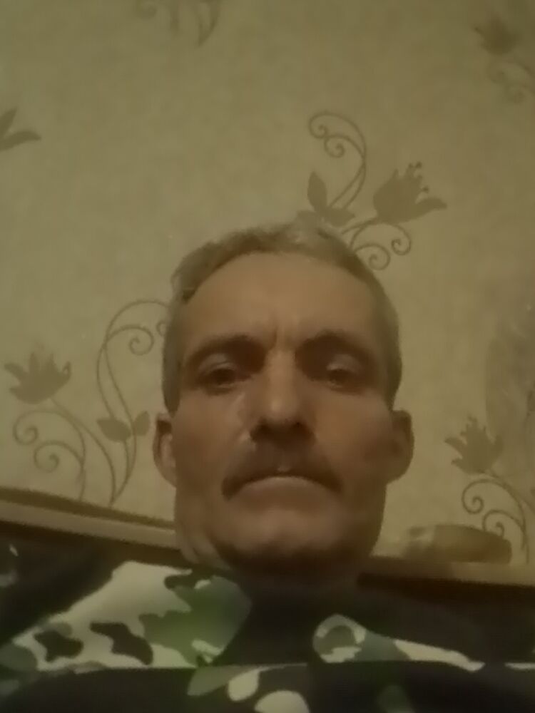  31382818  , 53 ,    