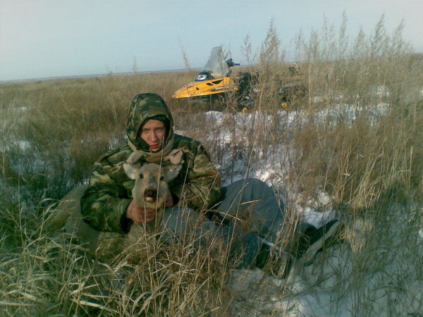 ���������� ������, ���� ������� Kaban, 39 ���, ������������ ��� ������