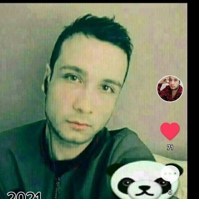 ���� 48008408 ������� �����, 33 ����, ���� ���������� � ������