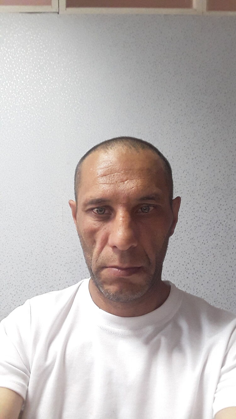  34721248  , 44 ,    