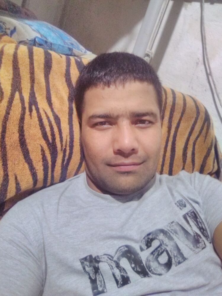 ���� 23367698 ������� SARDOR, 33 ����, ���� ���������� � �����-����������