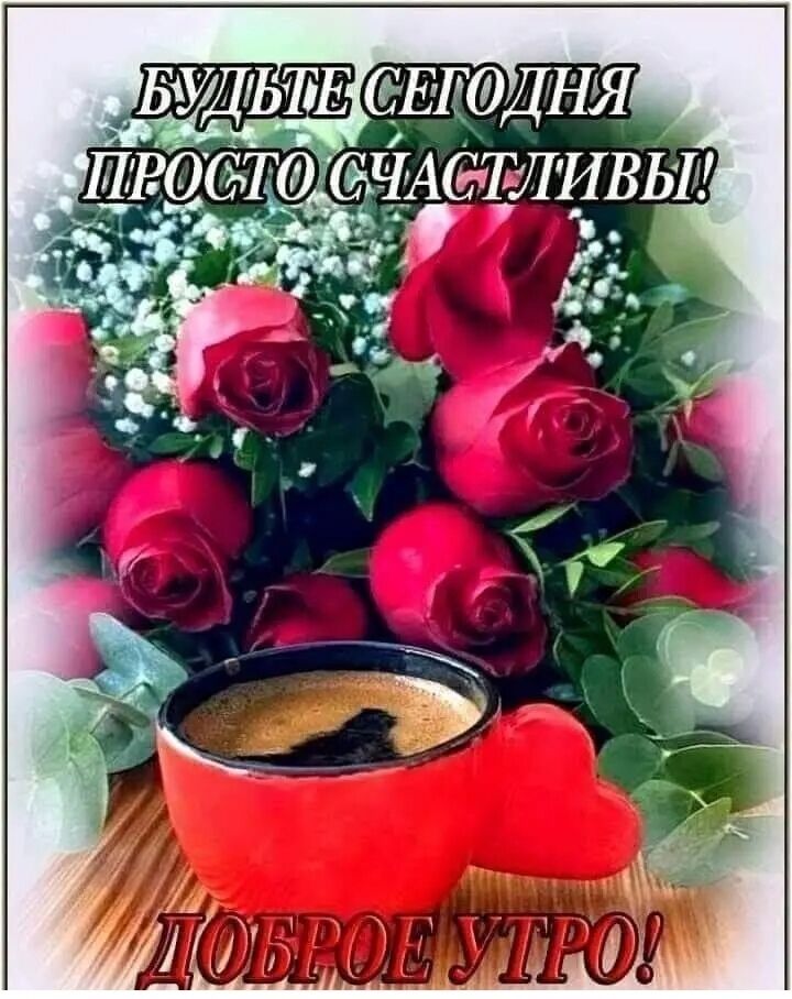  44299678  , 52 ,    