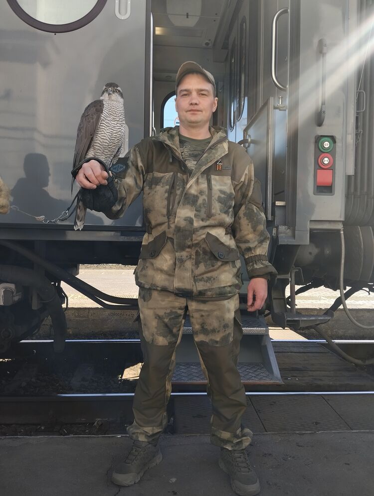 ���� 55985168 ������� ������, 39 ���, ���� ���������� � �������