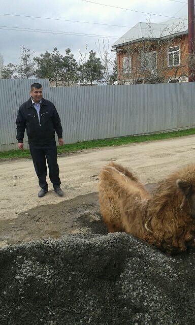 ���� 16140958 ������� ������, 50 ���, ���� ���������� � ���������