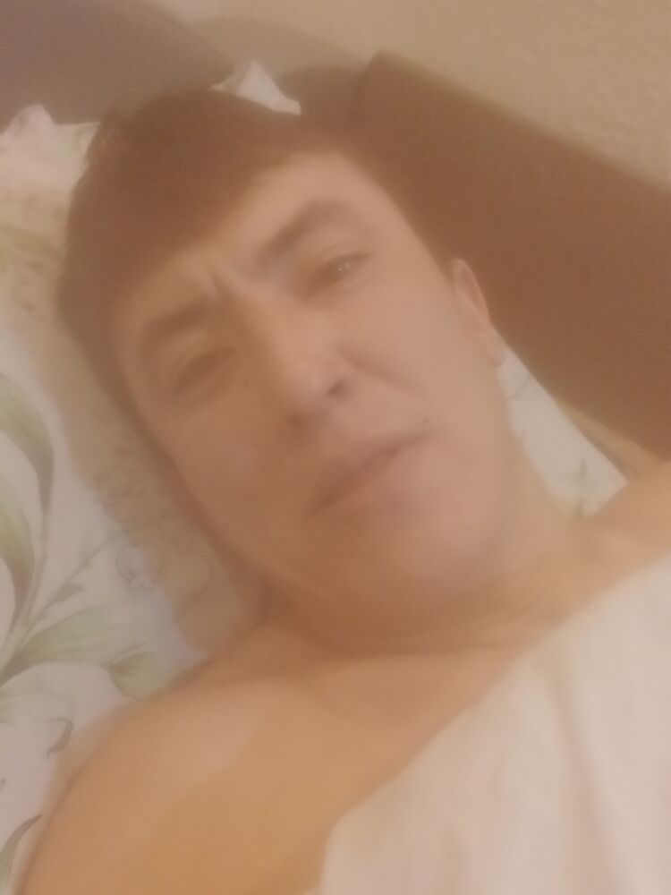  43427428  , 37 ,    -