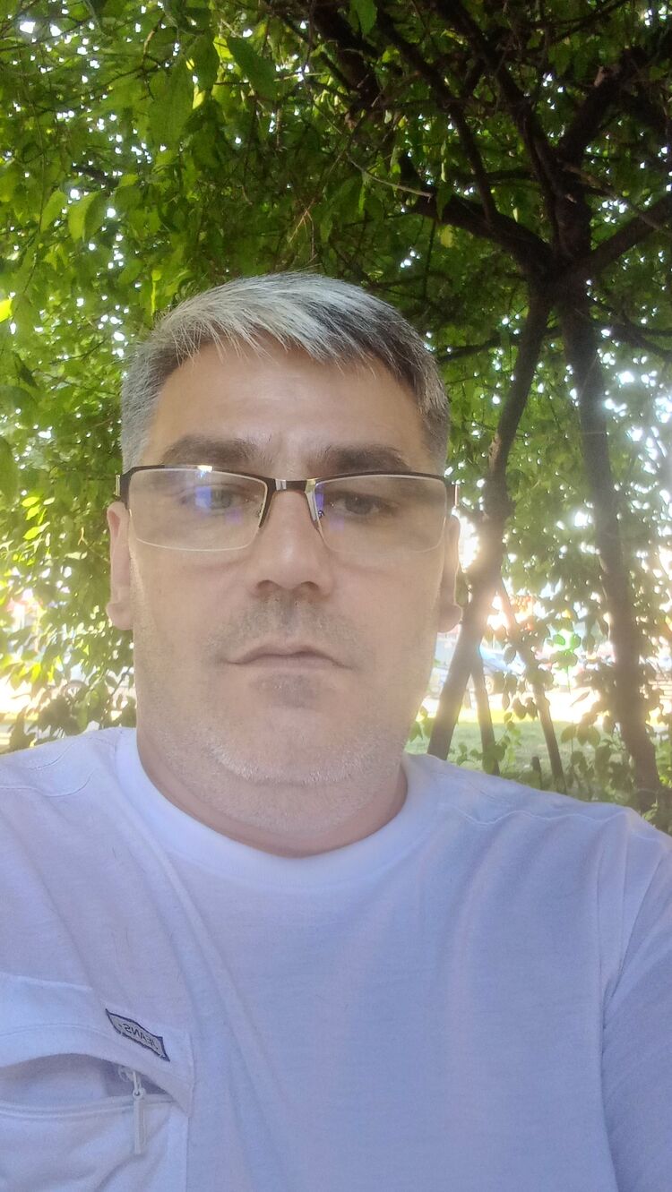  23683388  , 50 ,     