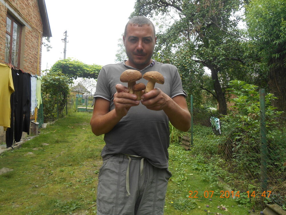  11849858  Pavlo, 39 ,    