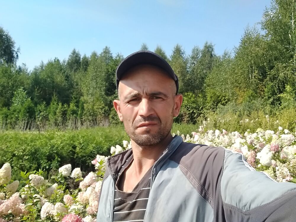  26260778  , 45 ,    