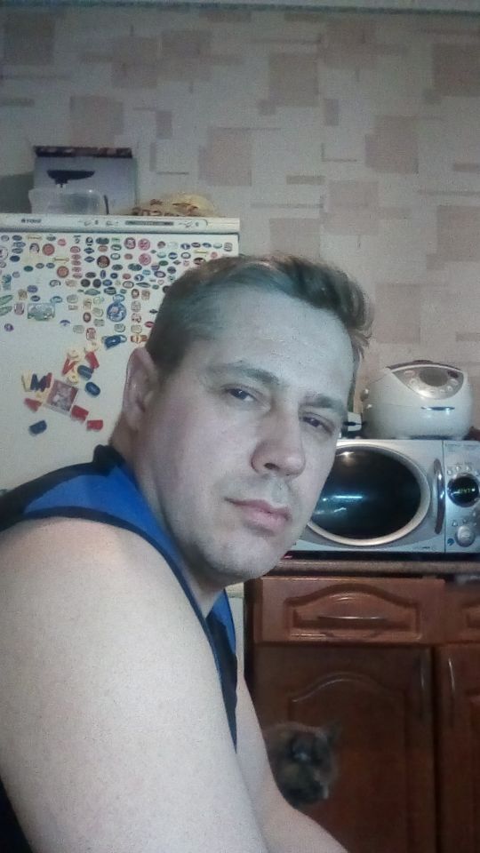  53084638  , 47 ,    