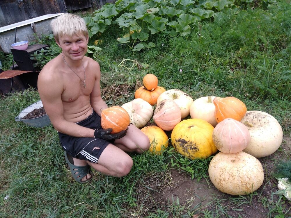 ���������� �����, ���� ������� ����, 35 ���, ������������ ��� ����� � ���������, c�������� ���������