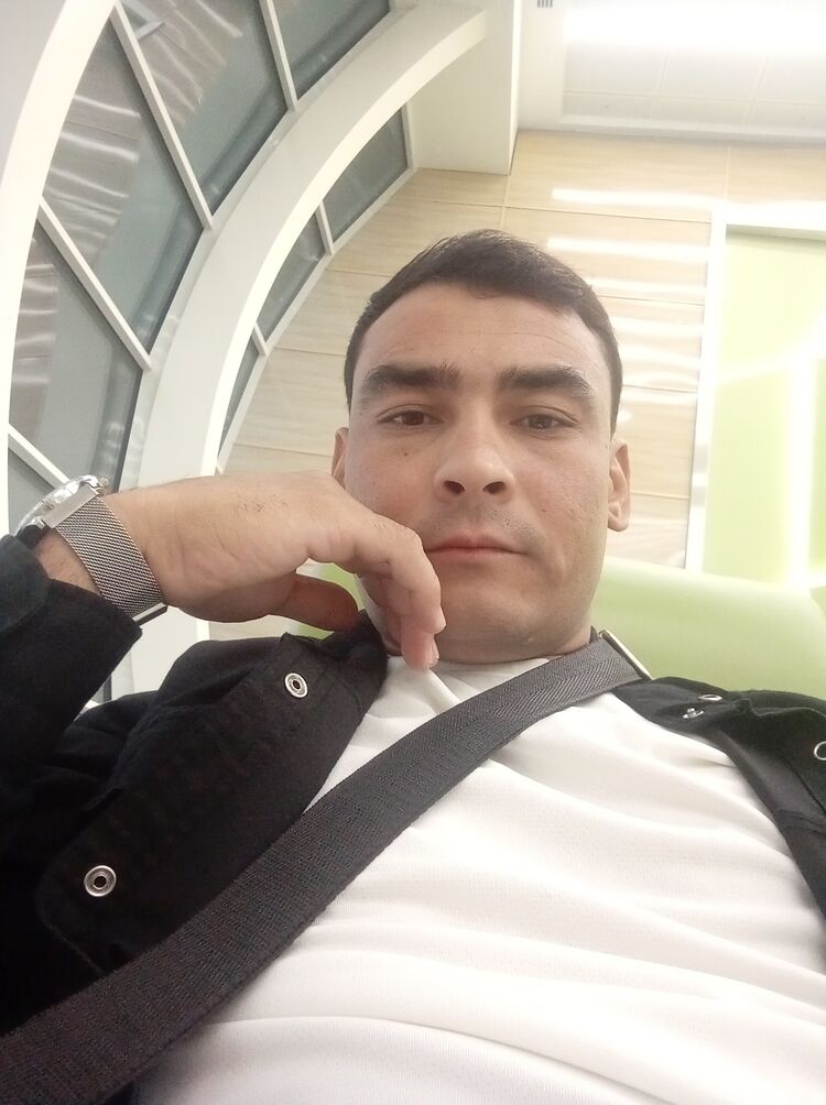  46833338  , 31 ,    