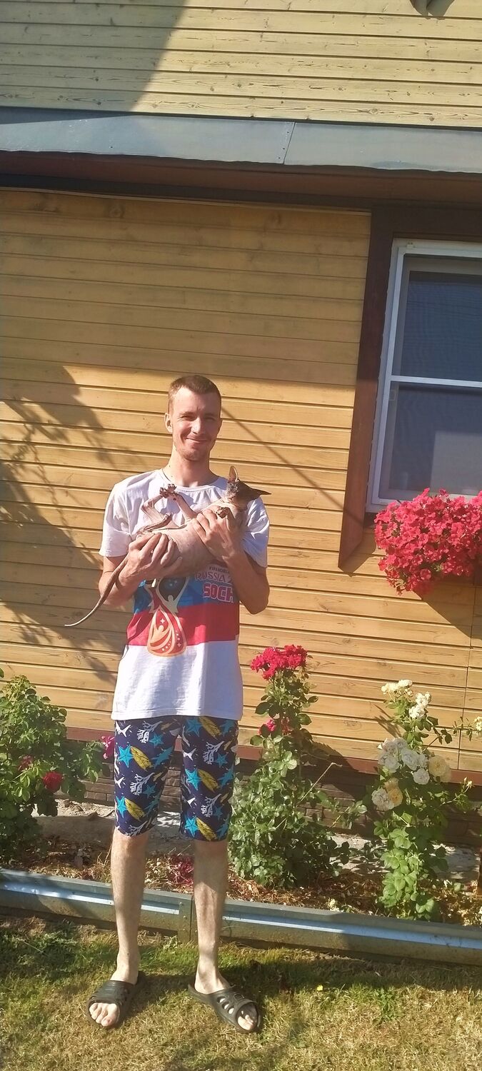 ���������� �����-���������, ���� ������� Ko���, 33 ����, ������������ ��� ������, ����� � ���������, ���������