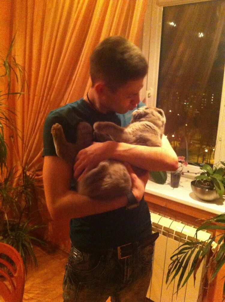 ���������� ���������, ���� ������� ������, 32 ����, ������������ ��� ������, ���������