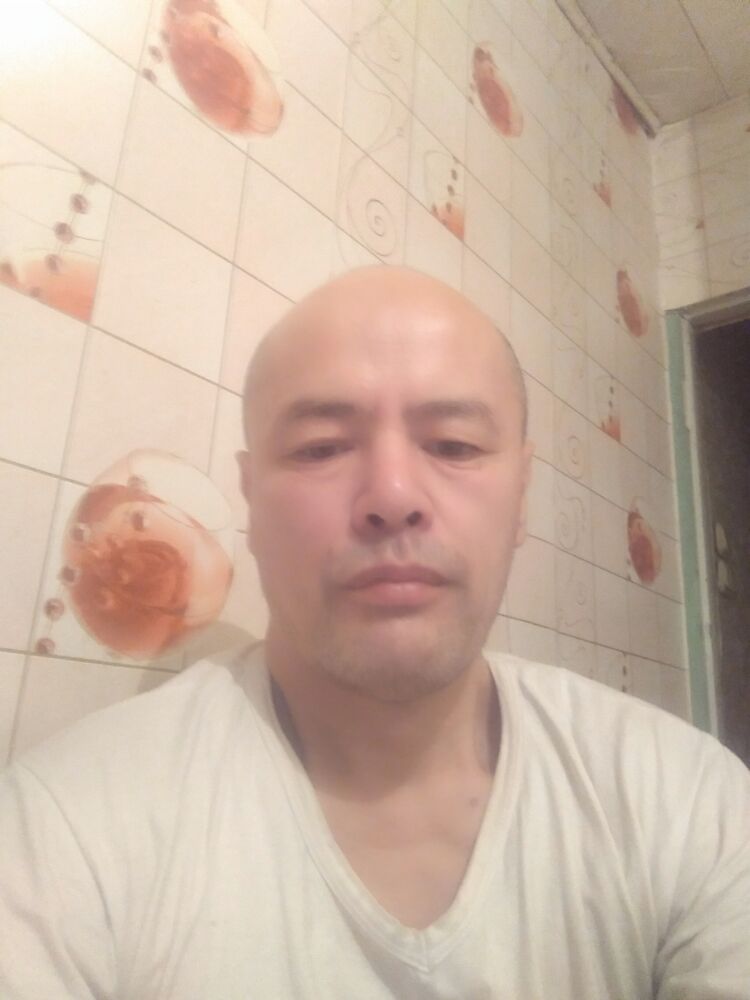  40572628  , 49 ,    
