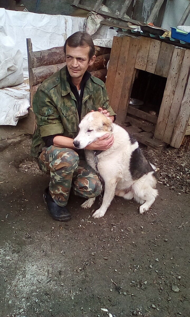 ���������� ������������, ���� ������� Doktor, 48 ���, ������������ ��� ����� � ���������, c�������� ���������