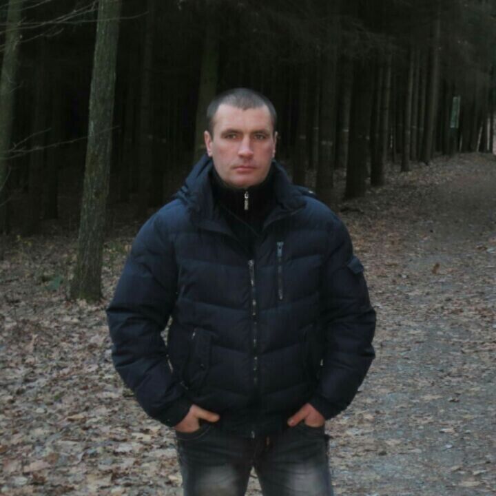  22181188  , 41 ,    