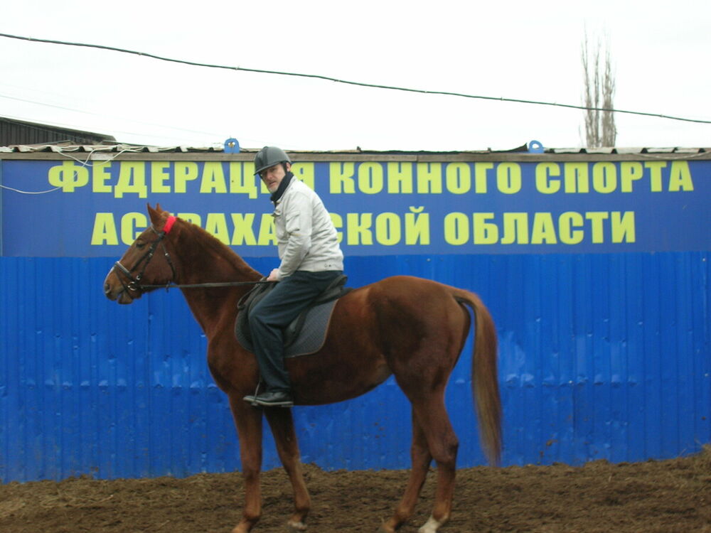 Novy,   , 63 ,   ,   