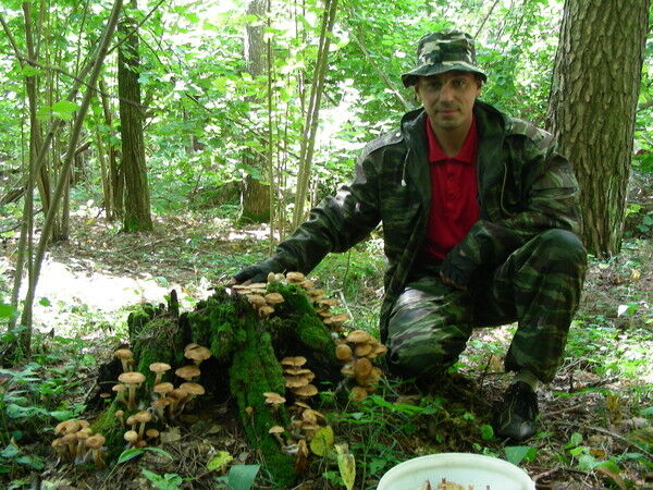 ���� 6393688 ������� ����, 52 ����, ���� ���������� � �������