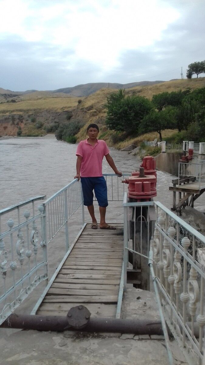 ���� 10062518 ������� �������, 39 ���, ���� ���������� � ���