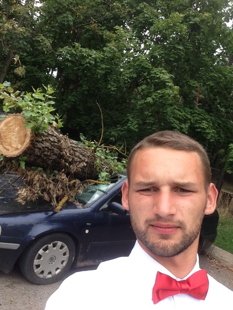 ���� 9566328 ������� ����, 30 ���, ���� ���������� � �������